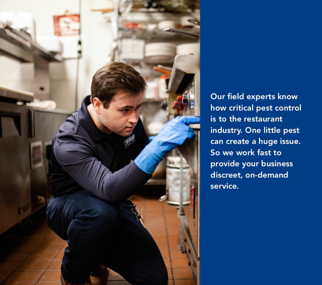Vanish technician performing commercial pest control service