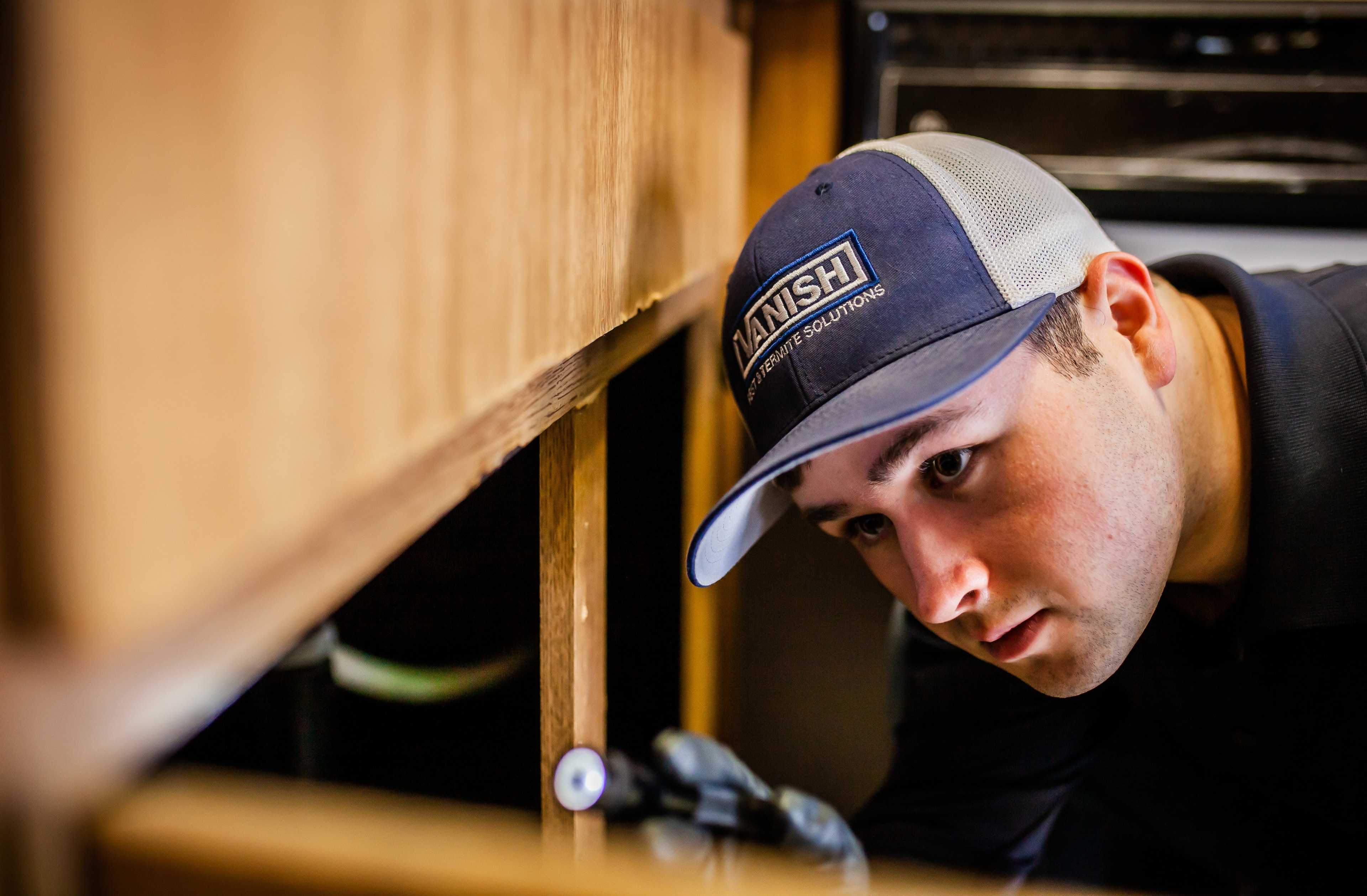Vanish Pest Control service vehicle — rodent control services
